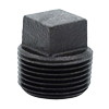 PR-Series Class 150 Malleable Black Iron Square Head Plug