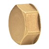 Port Cap for M-8000, M-8100, & M8200 Brass Manifolds