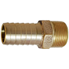 Cast Bronze Insert x MNPT Adapter