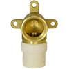 NL Brass CPVC x FNPT Drop Ear Elbow