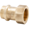 LegendPress No Lead Forged Brass FNPT Adapter