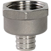 SS F1807 PEX x FNPT Reducing Adapter