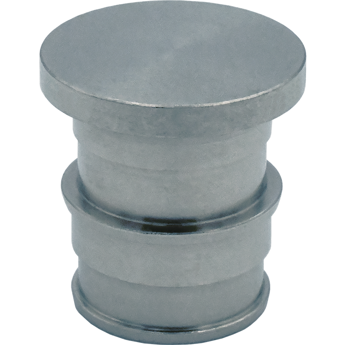 Image of SS F1960 PEX Plug