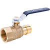 T-1960NL Expansion PEX x FNPT