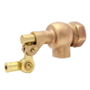 Cast Bronze FNPT x Plain Float Valve