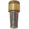 T-448NL Replacement Foot Valve Screen