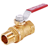 Forged Brass Mini Large Port MNPT x FNPT Transition Ball Valve